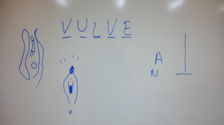 vulves tableau blanc dessins