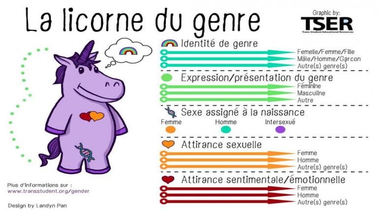 Genre galit Le planning familial Genre galit Le planning familial