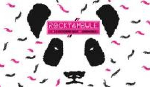 Participation du Planning Familial au festival Rocktambule 2015