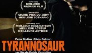Projection-débat autour du film 'Tyrannosaur’, le 18 février 2013, à 20h au cinéma Le Méliès