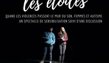 Affiche spectacle 14 janvier 2020