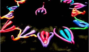 Des clitoris en pâte fimo disposés en cercle