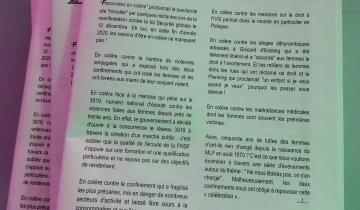 Une pile du n°72 de D'Ebats Féministes