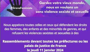 🔴 Enjeux du PLF 2024 pour le Planning familial : audition de représentants  du Planning familial 